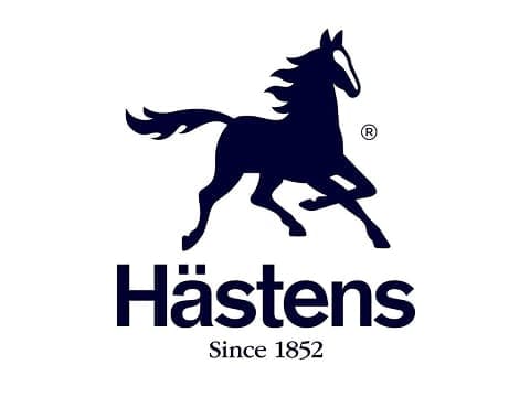 Logo Haestens Logo Haestens